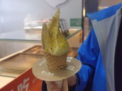 -野人先生现做冰淇淋(西安赛格店)