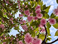 -戴记龙虾(天泽街店)