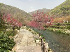 -武汉姚家山旅游景区