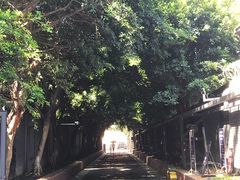 -成都市实验小学(人民中路校区)