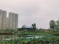 -宁波儿童公园(鄞州区)