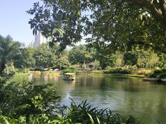 -晓港公园