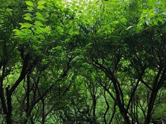 -成都杜甫草堂博物馆
