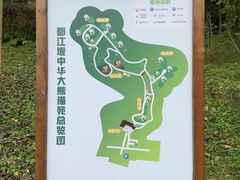 -都江堰中华大熊猫苑