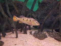 -常州海昌海洋探索馆