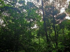-凤栖山