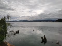 -洱海月湿地公园