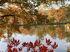 -浒顺大酒店(相城店)
