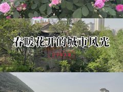 -五泉山公园