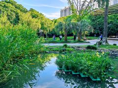 -苏州河梦清园环保主题公园