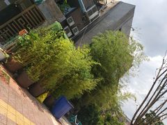 -易门野生菌府·菌海森林(月牙潭公园店)