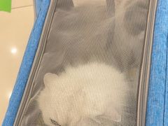 -艾贝尔宠物医院 ·中兽医·宠保定点(北门桥店)
