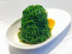 -新疆兵团食府清真(马连道店)