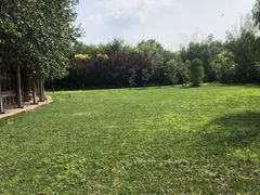-杨柳青庄园
