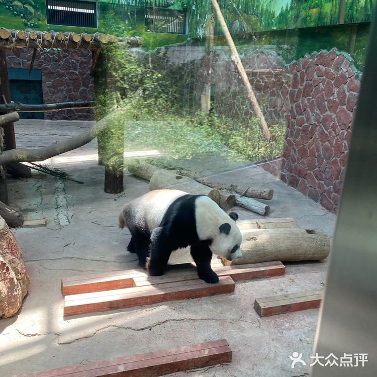 吃吃喝喝玩玩乐乐（贵州黔灵山）