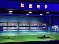 -重庆欢乐海底世界