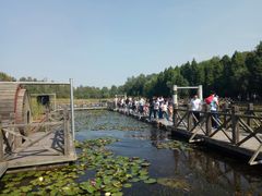 -溱湖国家湿地公园