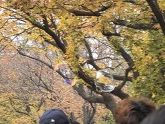 -青岛海滨风景区