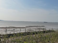 -滨海公园