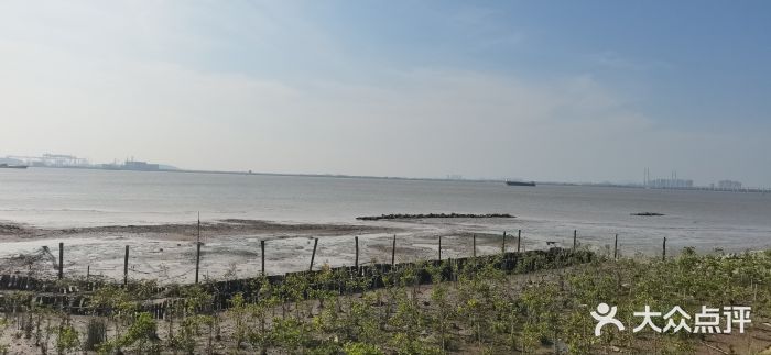 滨海公园图片