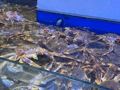 -海景壹号大酒店(滨湖店)