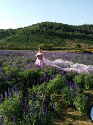 -梵梦影像馆(绿博园店)