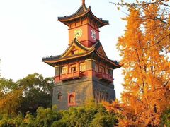 -四川大学(华西校区)