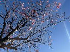 -白石龙音乐公园