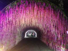-李小龙乐园(顺德均安店)