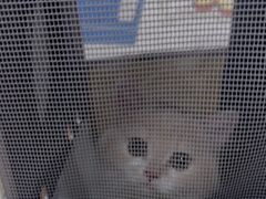 -思琪宠物医院(昆山花桥店)