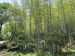 -黄公望隐居地