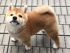 -金筷子西北菜·捞悦火锅