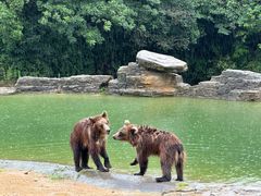 -杭州野生动物世界