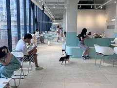 -怪兽屋·羊驼·猫咖·狗咖(俊华广场店)