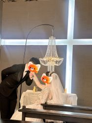 -城市花园婚纱摄影
