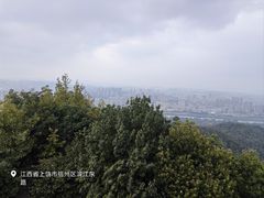 -云碧峰国家森林公园