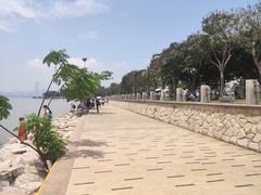 -深圳湾公园(南山区)
