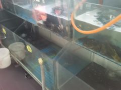 -高淳老街土菜馆(迎薰门店)
