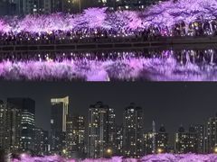 -西北湖绿化广场