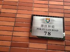-香港大学