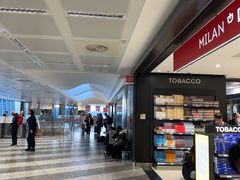 -米兰-马尔彭萨机场