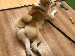 -YCHL Studios健身工作室(市二宫店)