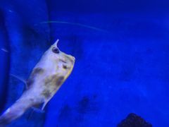 -多彩贵州城极地海洋世界