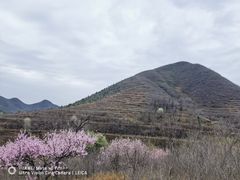 -狼牙山风景区