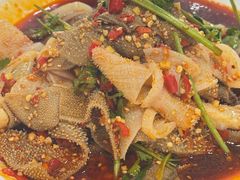 藤椒毛肚百叶-文记四川鱼馆(小纬北路店)