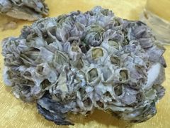 桑拿蚝-蚝专家(北滘店)