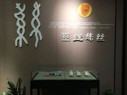 -太湖雪蚕桑文化园