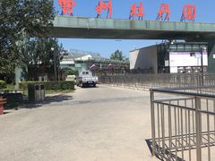 -曹州牡丹园