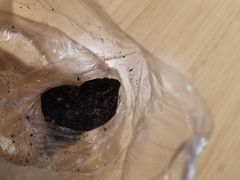 -叶氏麻糍(鼓浪屿店)