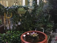 -猫色咖啡·猫咖